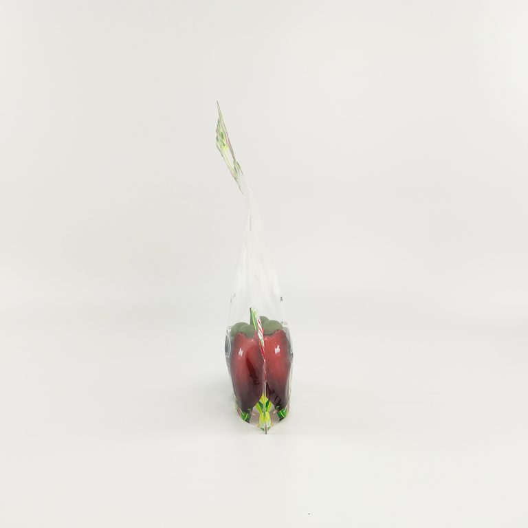 Custom Handle Hole punching Eco Friendly fruit food plastic packaging ziplock pouch2