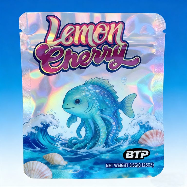 Custom Recyclable Mylar Zip Lock Food Stand up Pouch Plastic Packaging Bag2